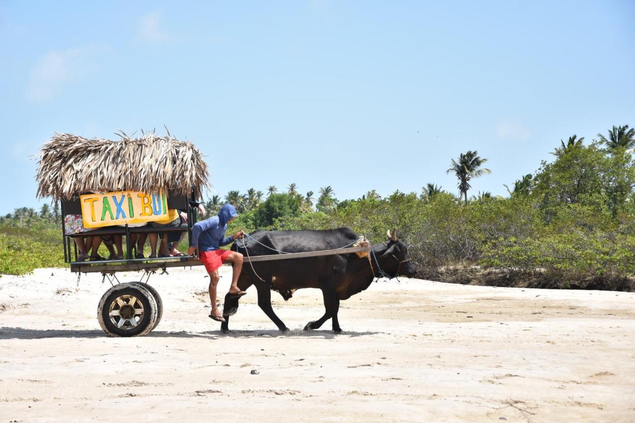 Pousada Velho Bateau أتينز المظهر الخارجي الصورة